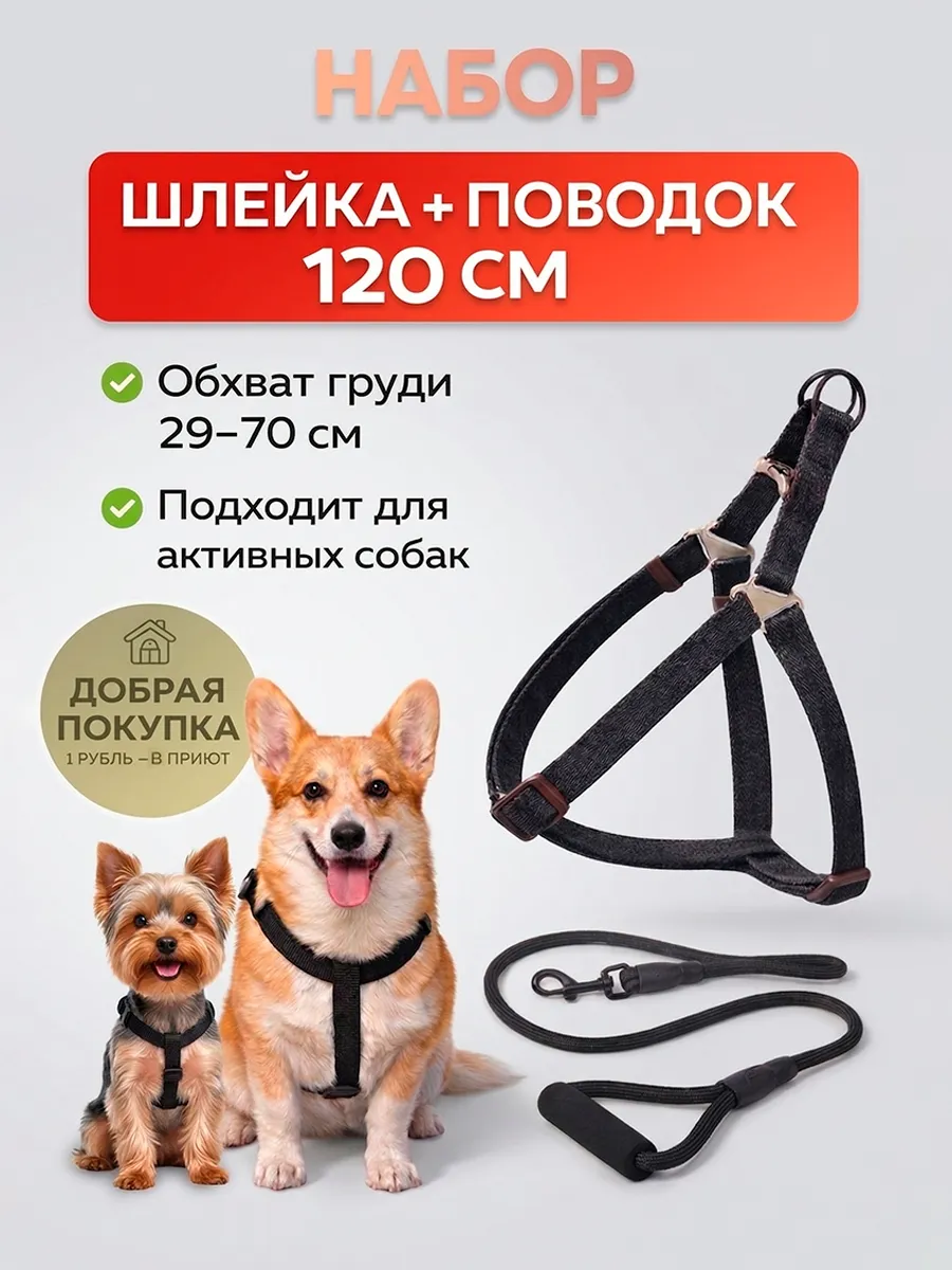 Шлейка для собак мелких и средних пород и кошек с поводком