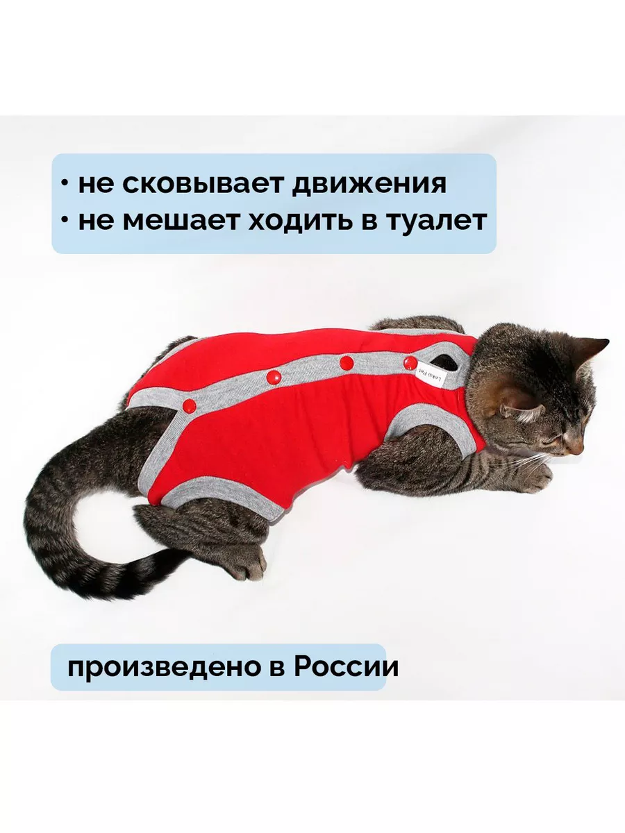 Попона для кошек послеоперационная Leksi Pet 26278669 купить за 658 ₽ в  интернет-магазине Wildberries