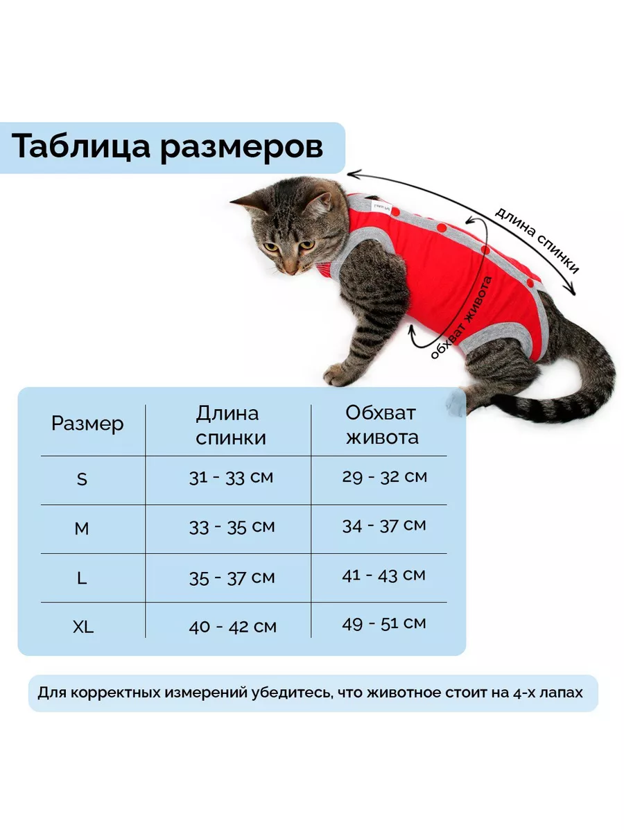 Попона для кошек послеоперационная Leksi Pet 26278669 купить за 658 ₽ в  интернет-магазине Wildberries