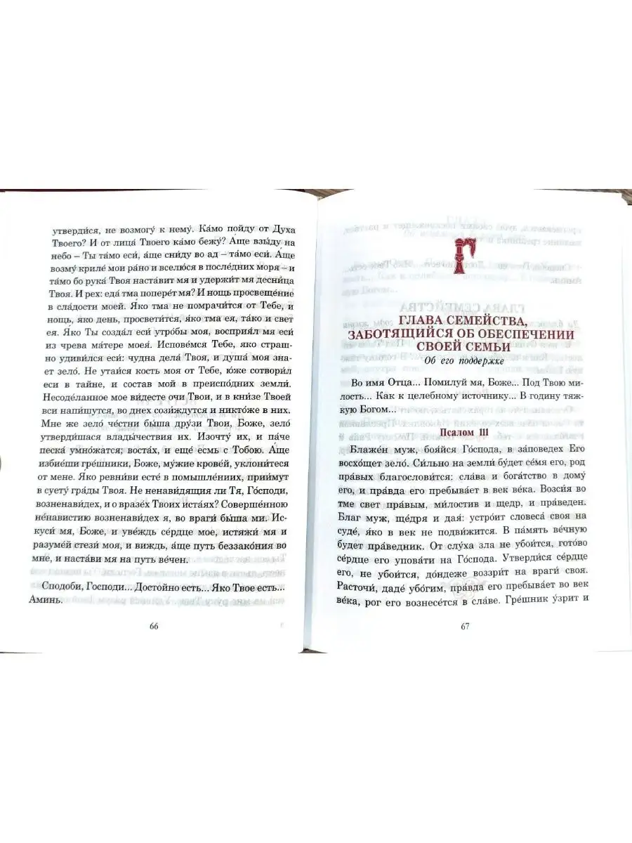 Псалмы, чтомые на всякую потребу души. Паисий Святогорец Ника 26286693  купить за 571 ₽ в интернет-магазине Wildberries