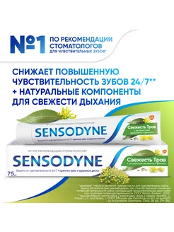 Зубная паста Свежесть трав 75 мл SENSODYNE 26303999 купить за 161 ₽ в интернет-магазине Wildberries