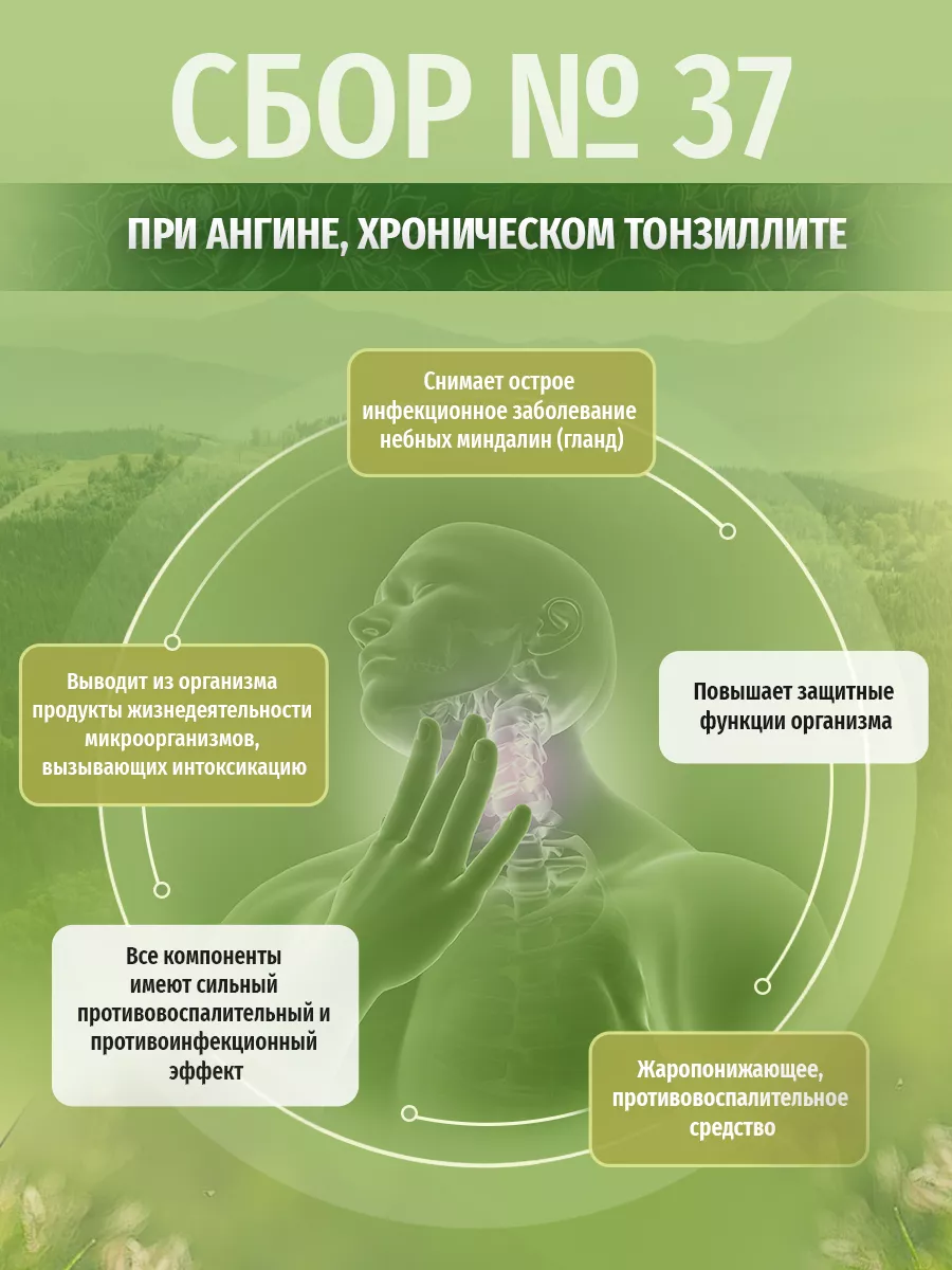 Травяной сбор №37 При ангине, фарингите, инфекциях 200г Травы Кавказа  26373227 купить в интернет-магазине Wildberries