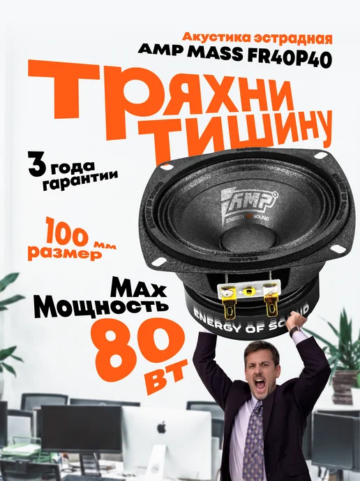 AMP Динамики 10 см MASS FR40P40 широкополосная, вариант