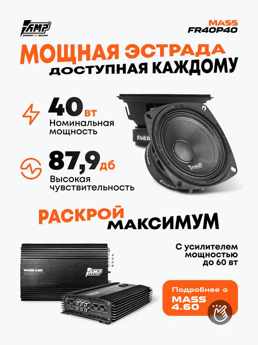 AMP Динамики 10 см MASS FR40P40 широкополосная, вариант, фото 2