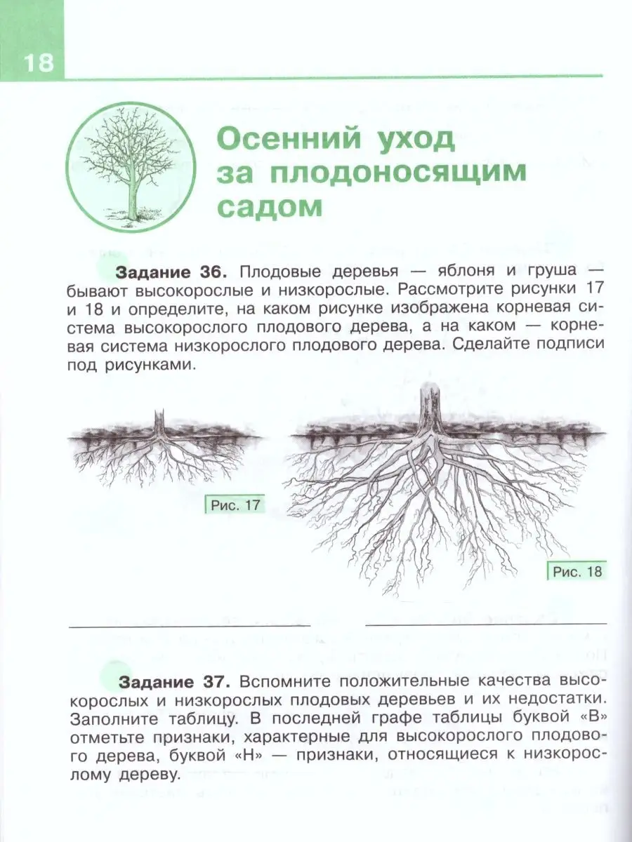 Технология 8 класс.Сельскохозяйственный труд.Рабочая тетрадь Просвещение  26465432 купить в интернет-магазине Wildberries