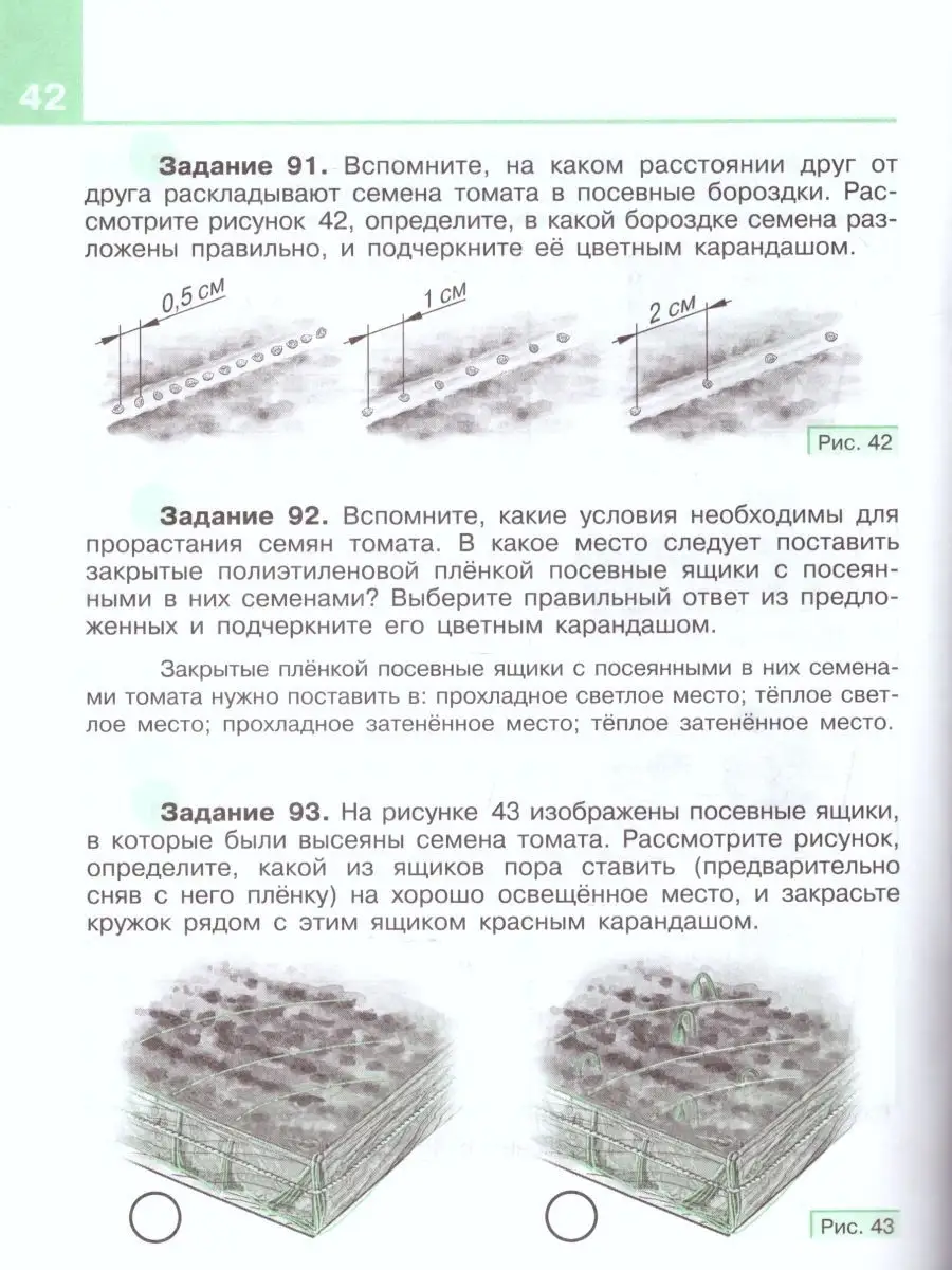 Технология 8 класс.Сельскохозяйственный труд.Рабочая тетрадь Просвещение  26465432 купить в интернет-магазине Wildberries