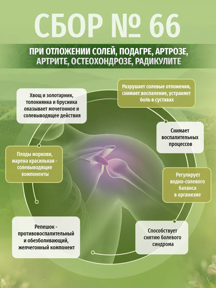 Травяной сбор № 66 При отложении солей в суставах 200г Травы Кавказа  26482576 купить за 970 ₽ в интернет-магазине Wildberries