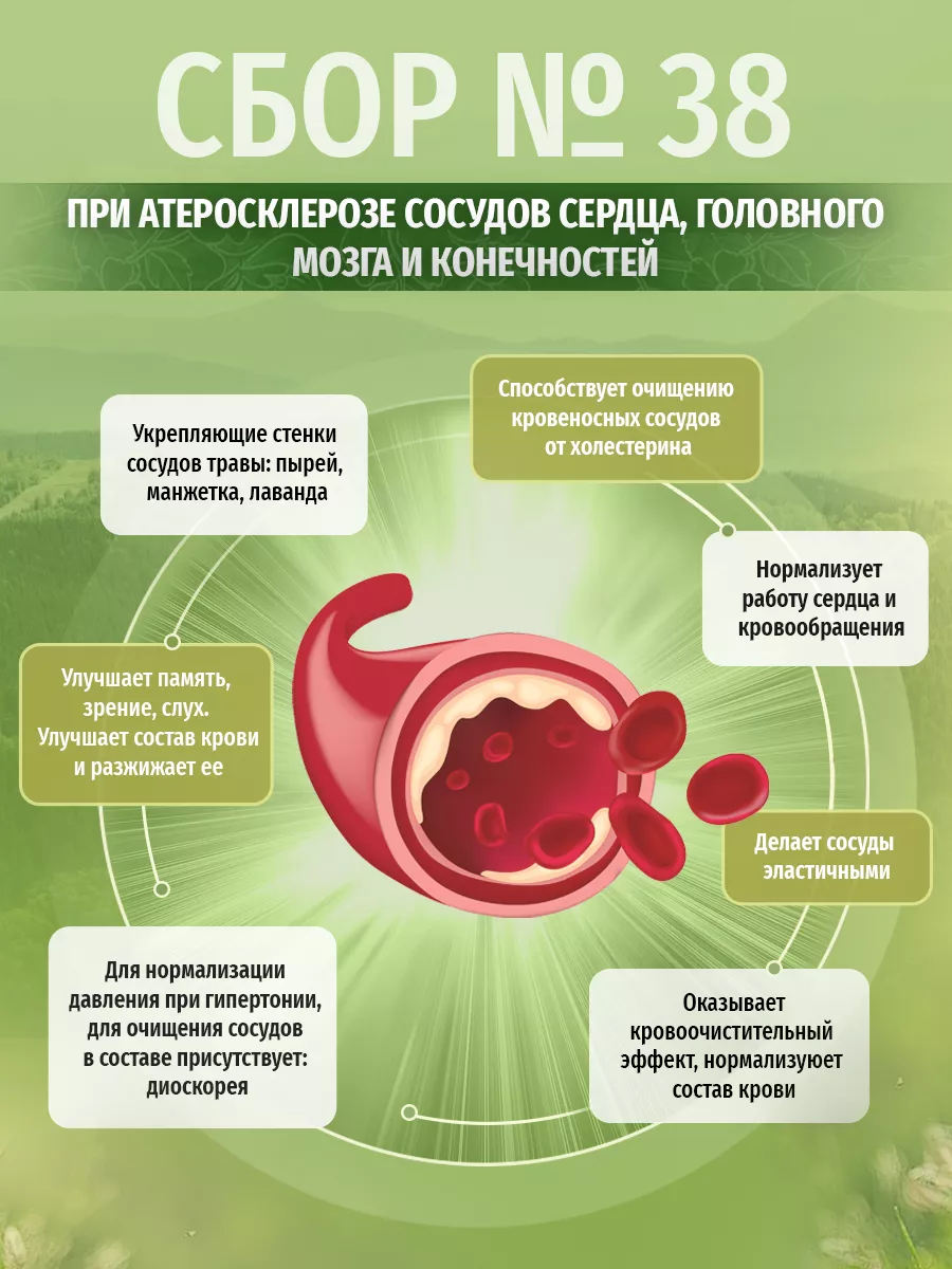 Травяной сбор № 38 При атеросклерозе сосудов сердца мозга Травы Кавказа  26482611 купить за 1 004 ₽ в интернет-магазине Wildberries