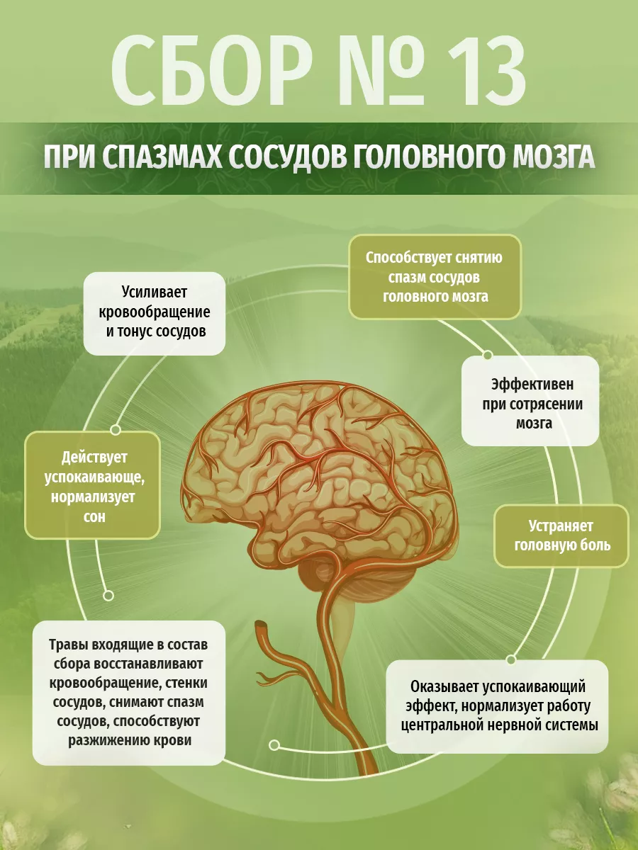 Травяной сбор № 13, Чай при спазмах сосудов головного мозга Травы Кавказа  26485195 купить в интернет-магазине Wildberries