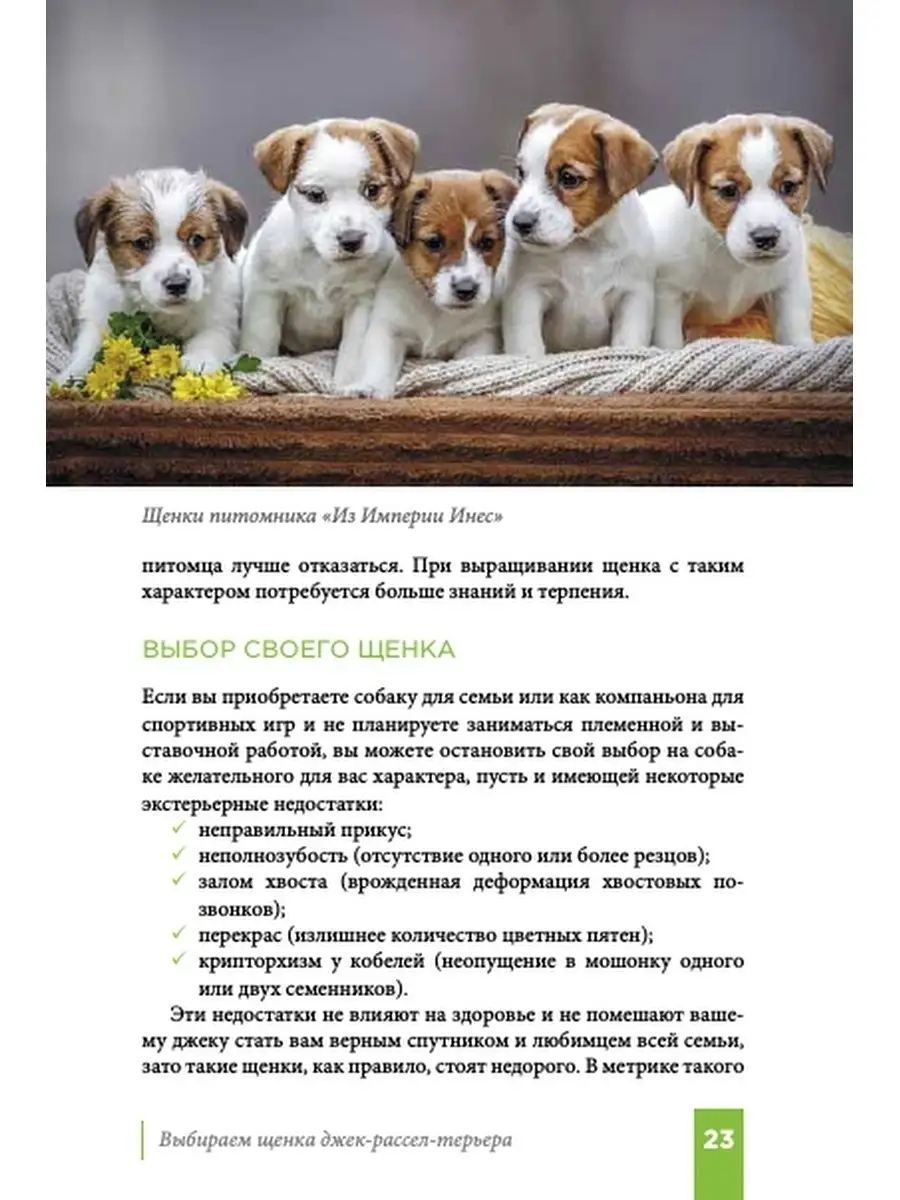 Книга Джек рассел терьер DOG-ПРОФИ 26491479 купить за 1 152 ₽ в  интернет-магазине Wildberries