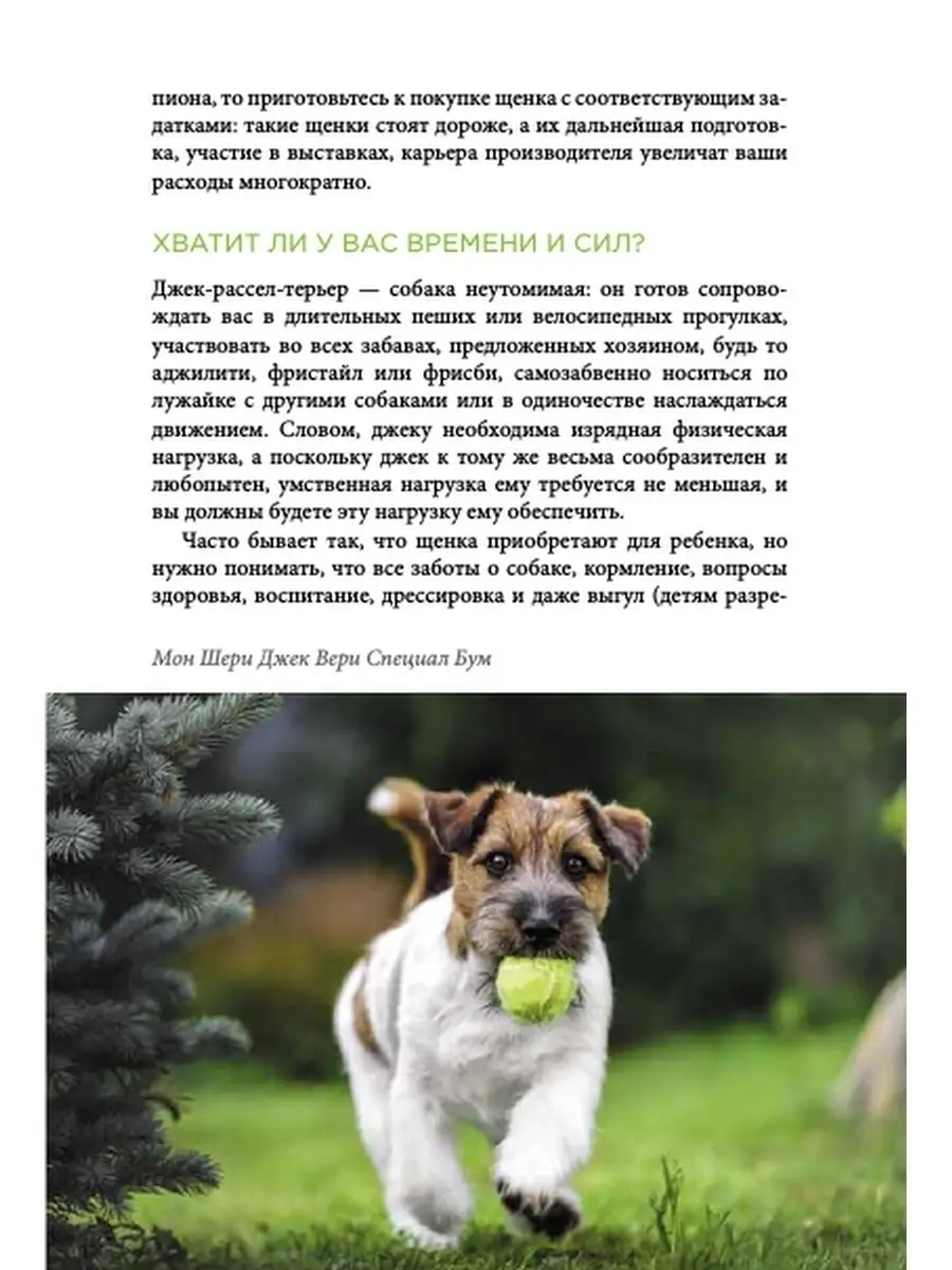 Книга Джек рассел терьер DOG-ПРОФИ 26491479 купить за 1 165 ₽ в  интернет-магазине Wildberries