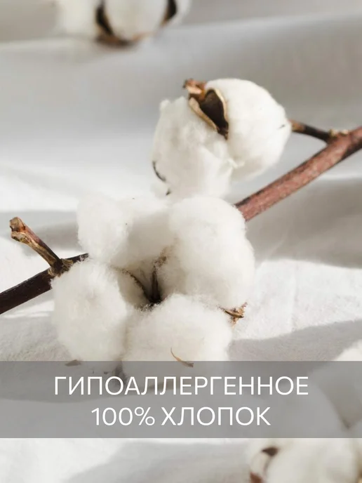 Guten Morgen Полотенце махровое банное 50х90 хлопок, 50x90, фото 5