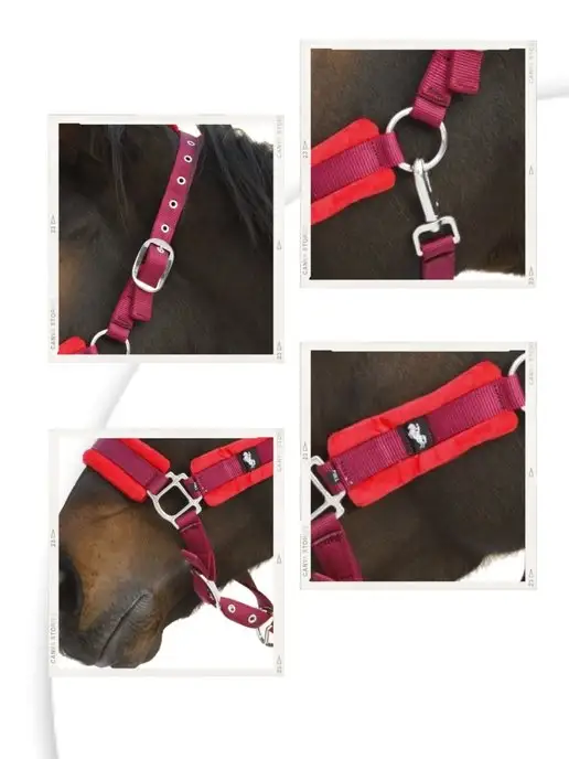 Sweethorse Недоуздок для лошади, красный, фото 3