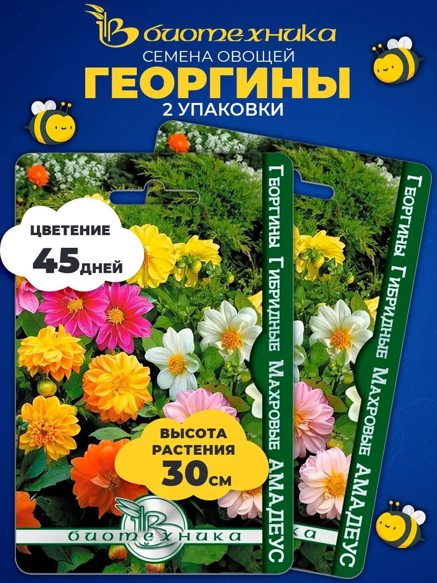 Семена Георгины гибридные Амадеус махровые георгины семена Биотехника  26618925 купить в интернет-магазине Wildberries