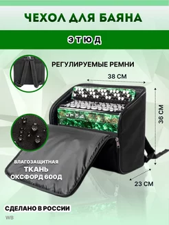 Чехол для баяна FiDaNF 26639354 купить за 3 197 ₽ в интернет-магазине Wildberries