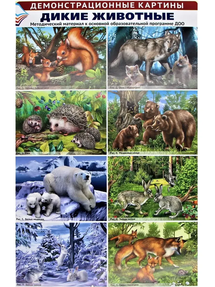 Плакат