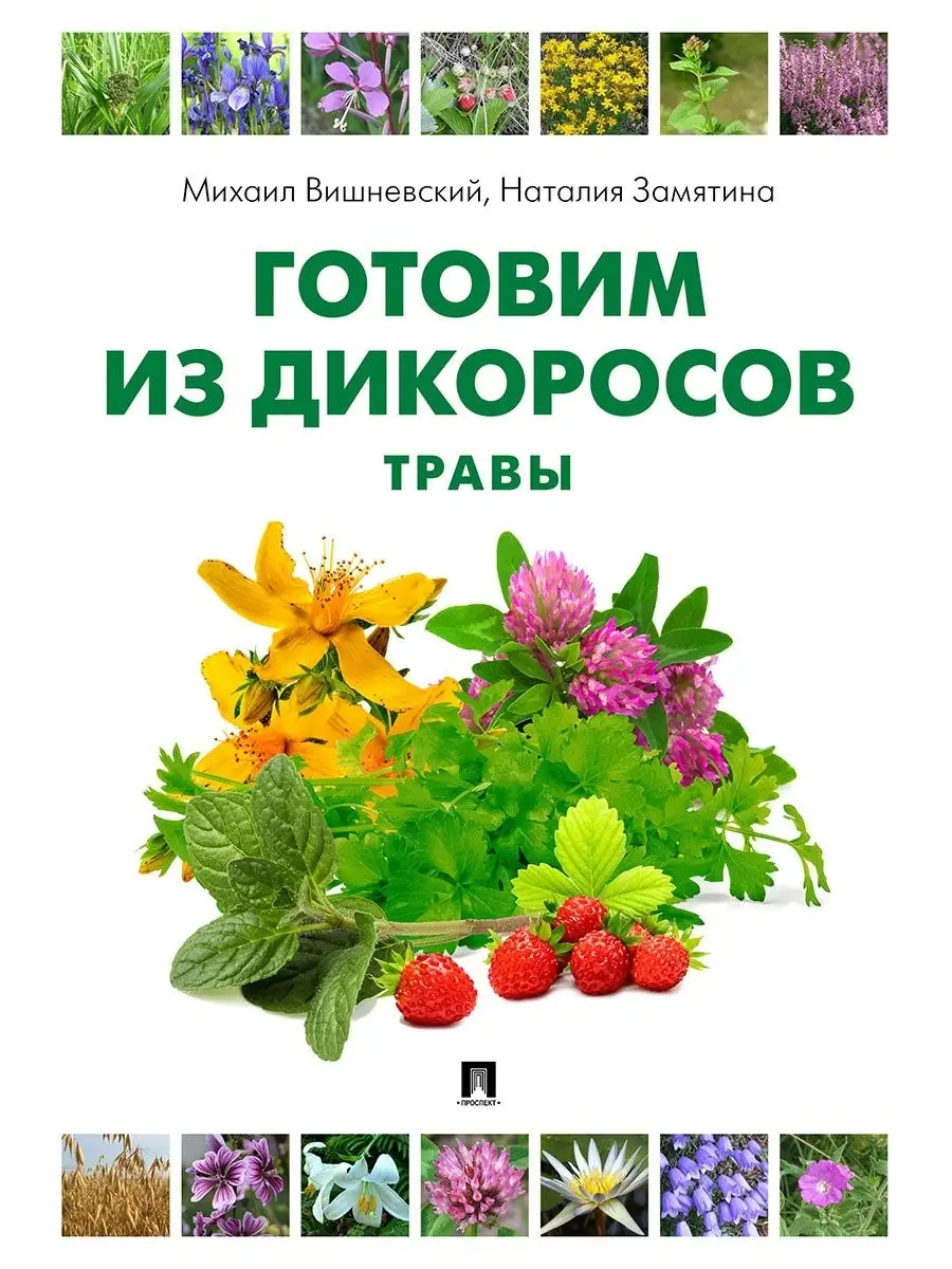 Готовим из дикоросов. Травы. Проспект 26732403 купить за 679 ₽ в  интернет-магазине Wildberries