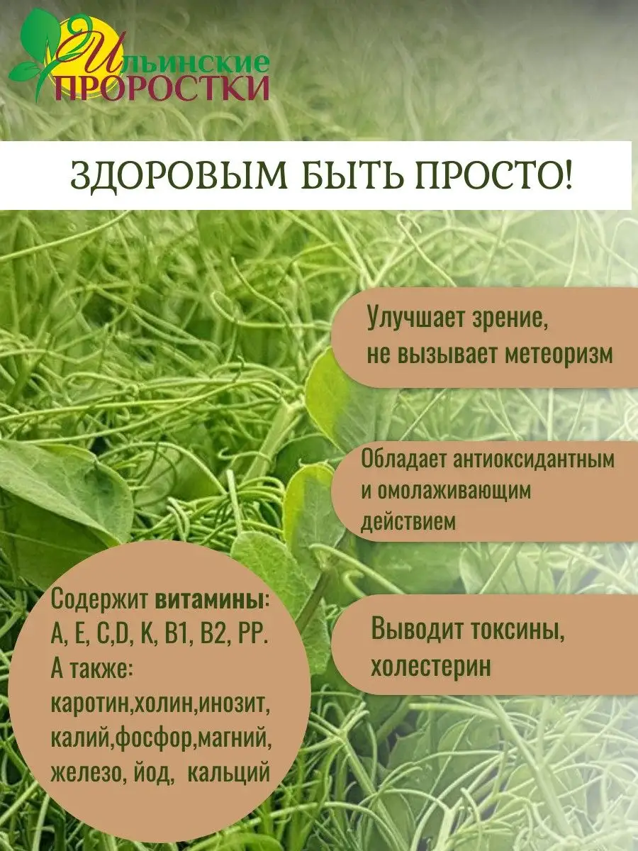 Семена микрозелень горох для проращивания Ильинские проростки 26775348  купить за 250 ₽ в интернет-магазине Wildberries