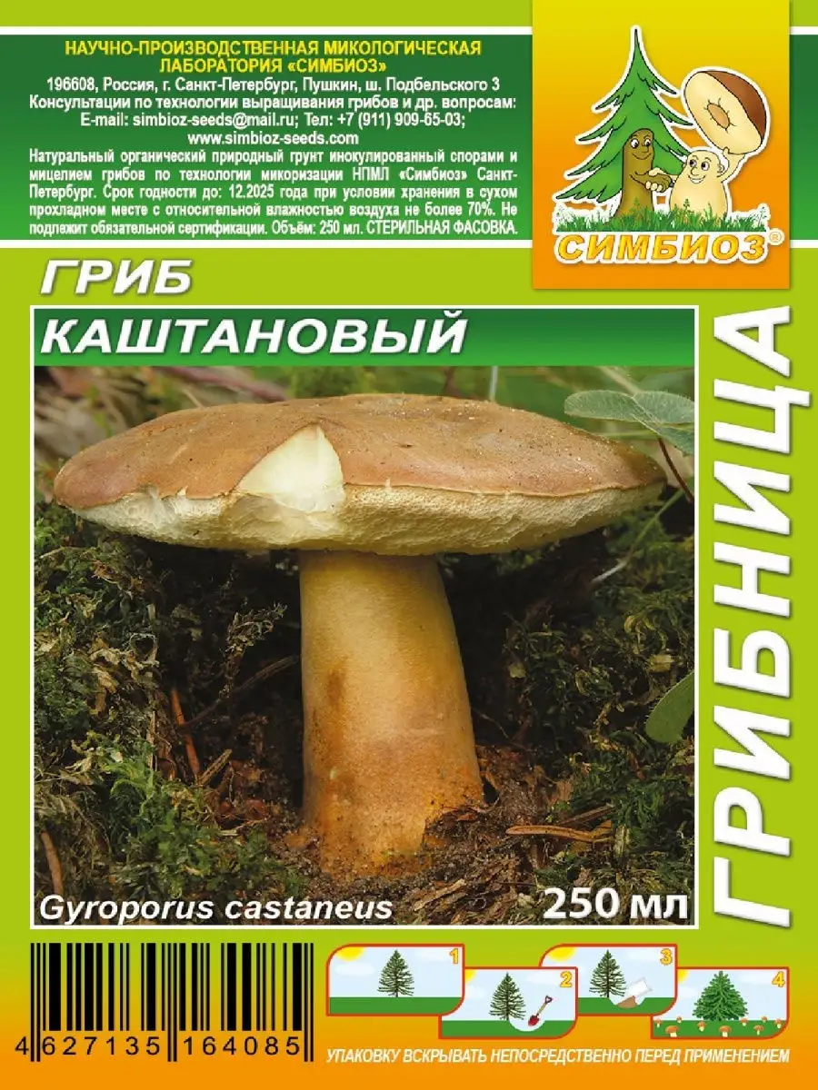 Каштановый гриб Планета Садовод 26814954 купить за 157 ₽ в  интернет-магазине Wildberries