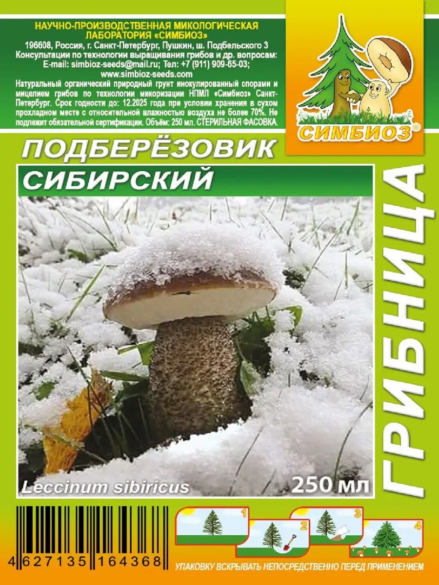 Грибы Подберёзовик сибирский Планета Садовод 26814977 купить в  интернет-магазине Wildberries