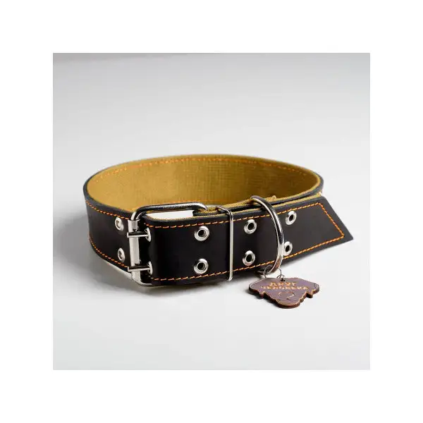 Ошейник для собак