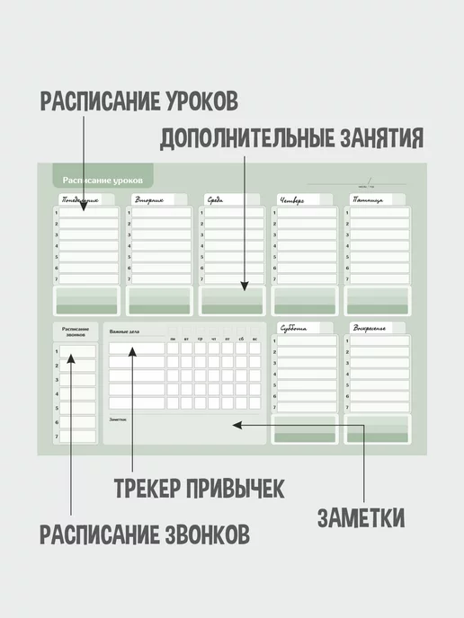 Gnomonik Расписание уроков настенное на магните, зеленый, фото 3
