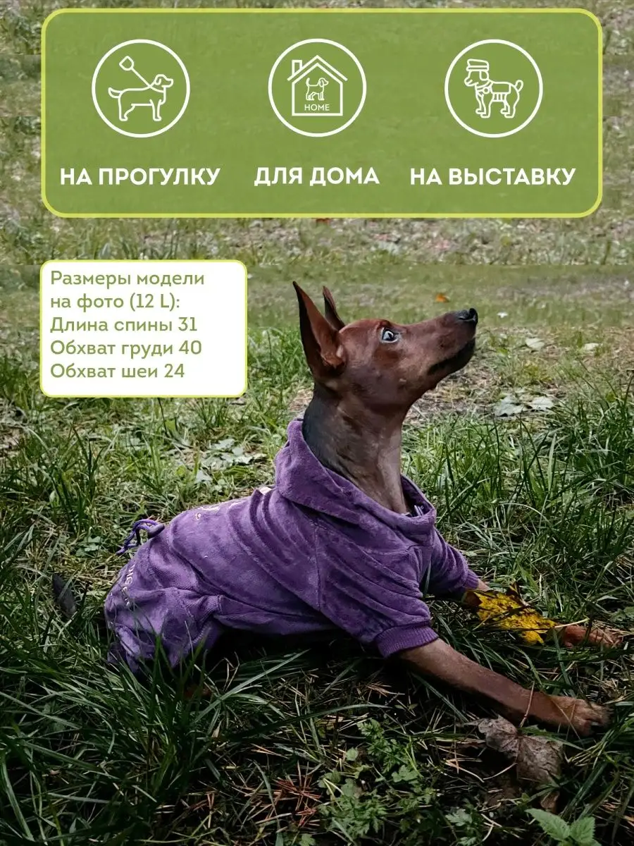 Домашняя одежда Комбинезон для собак мелких пород на весну JOHNNYDOG  26867449 купить в интернет-магазине Wildberries