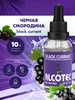 Эссенция Черная Смородина, ароматизатор пищевой, 30 мл Alcotec 26951209 купить за 162 ₽ в интернет‑магазине Wildberries