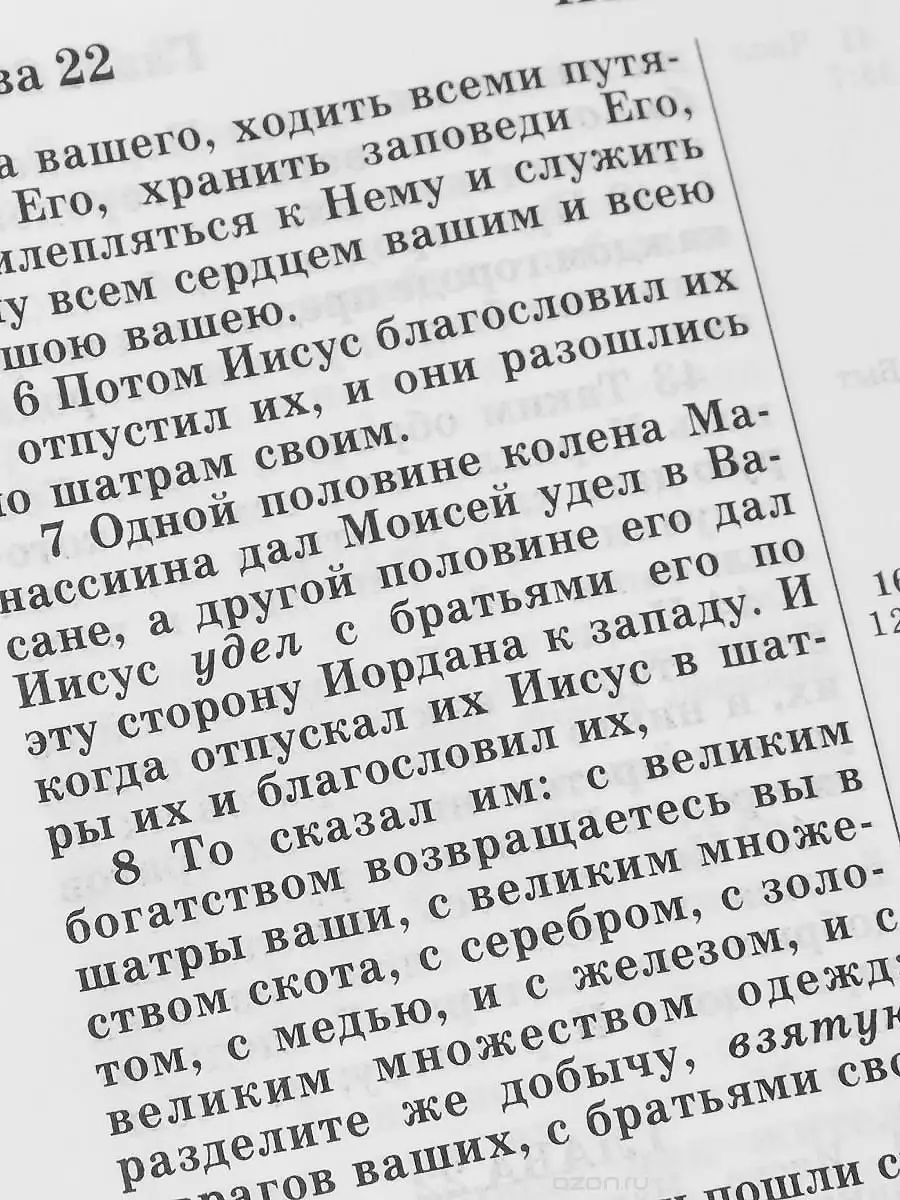 Библия. В чехле на молнии. Серебряный обрез Российское Библейское Общество  26998976 купить в интернет-магазине Wildberries