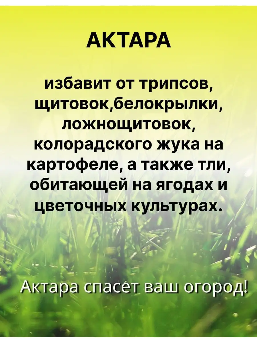 Актара для растений от тли от вредителей 4г Актара 27019126 купить за 197 ₽  в интернет-магазине Wildberries