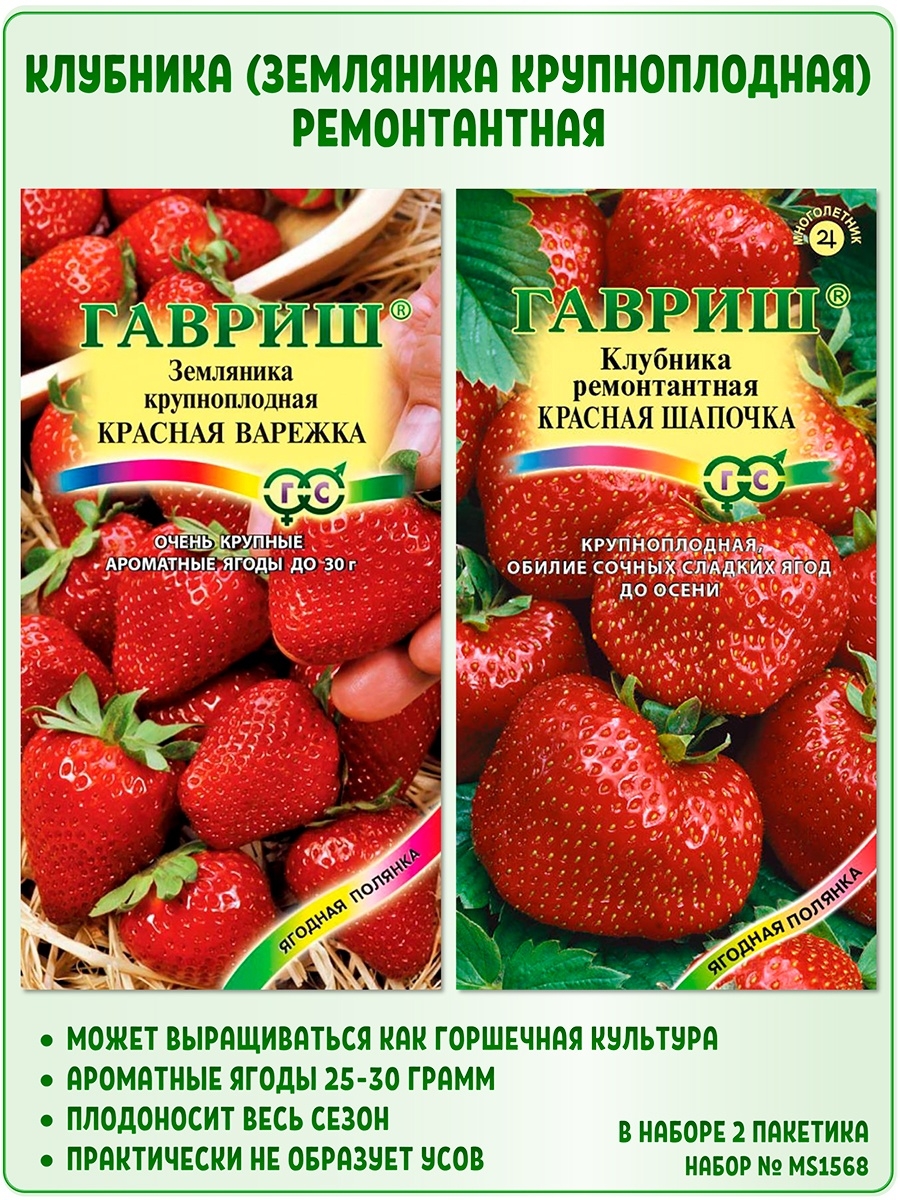 Семена клубники ремонтантной, 2 пак. Гавриш 27032700 купить за 213 ₽ в  интернет-магазине Wildberries