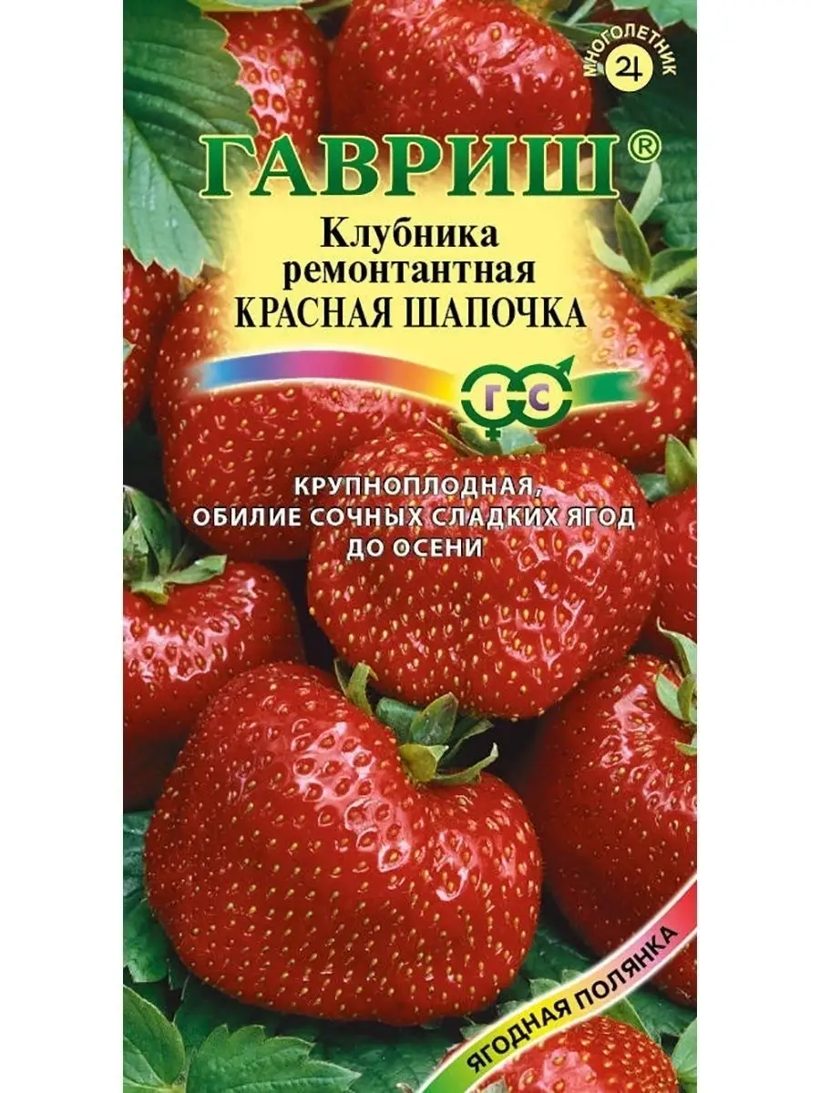 Семена клубники ремонтантной, 2 пак. Гавриш 27032700 купить за 213 ₽ в  интернет-магазине Wildberries