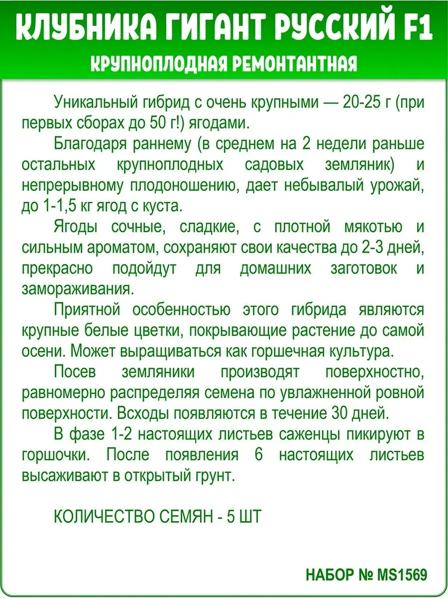 Клубника (земляника) ремонтантная Гавриш 27032703 купить в  интернет-магазине Wildberries