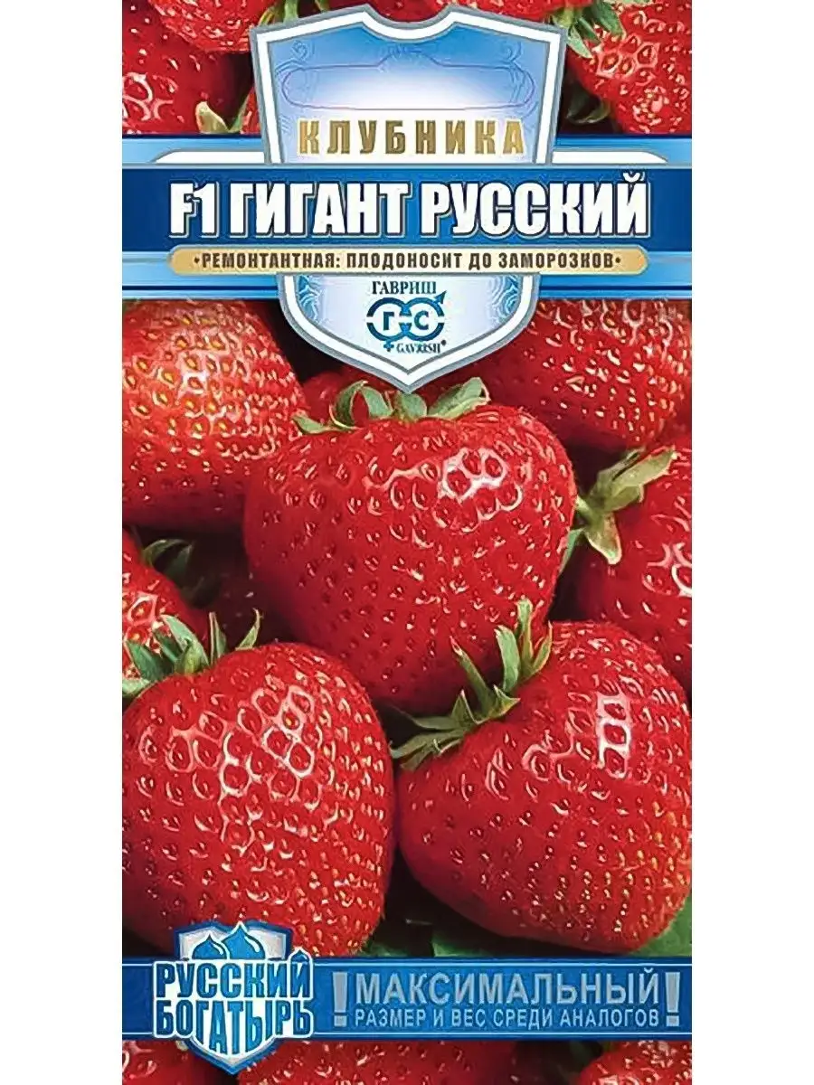 Клубника (земляника) ремонтантная Гавриш 27032703 купить в  интернет-магазине Wildberries