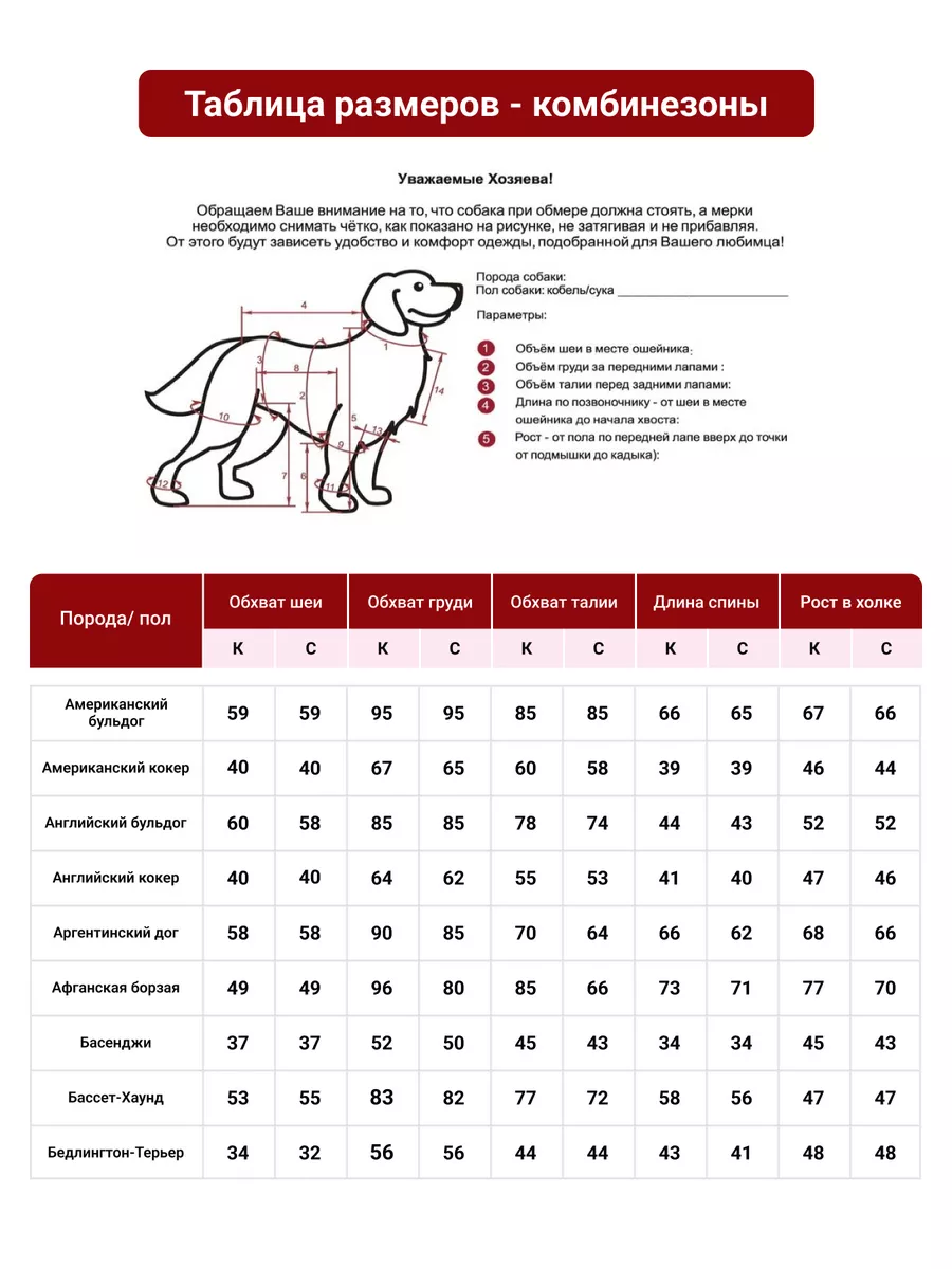 Выкройка комбинезона для пуделя — Интернет-магазин одежды для собак Zoostyle