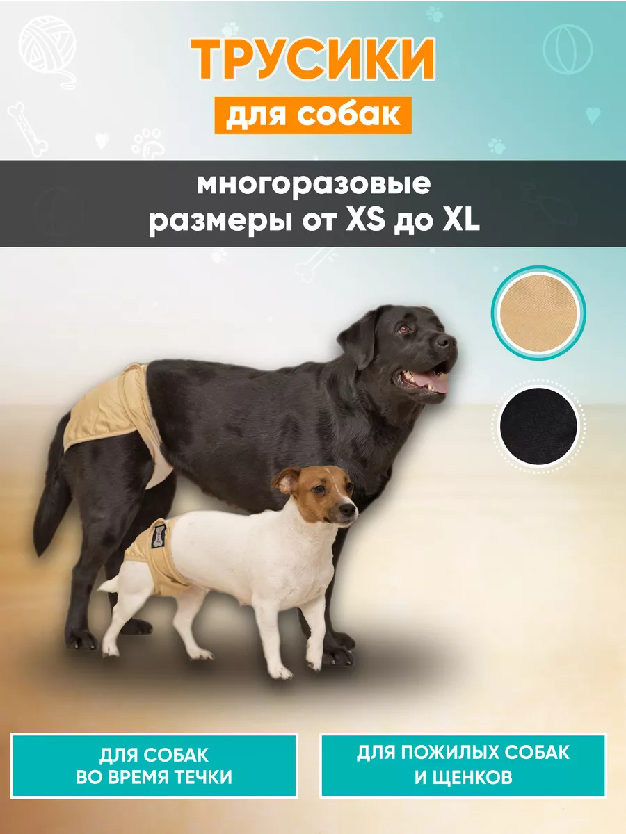 Трусы для собак при течке Mr Dog 27140738 купить за 627 ₽ в  интернет-магазине Wildberries