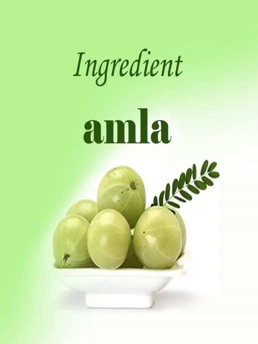 Khadi natural Порошок-маска Амла для ухода за волосами Khadi, 100 г, 100 г, фото 4