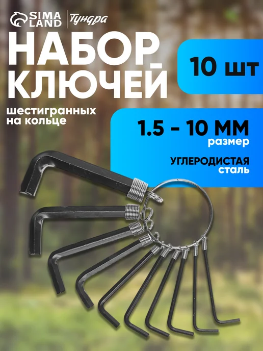 Тундра Набор шестигранных ключей на кольце, 10 шт