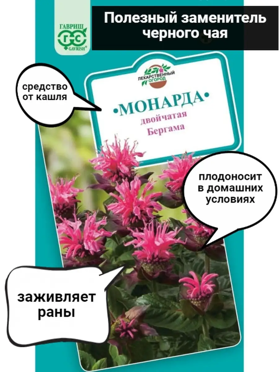 Семена Монарда Гавриш 27296164 купить за 169 ₽ в интернет-магазине  Wildberries