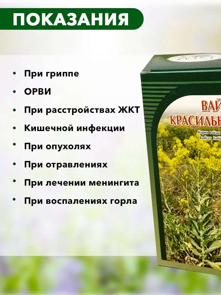 Чем пикты и кельты раскрашивали лица: вайда красильная. Цвет 