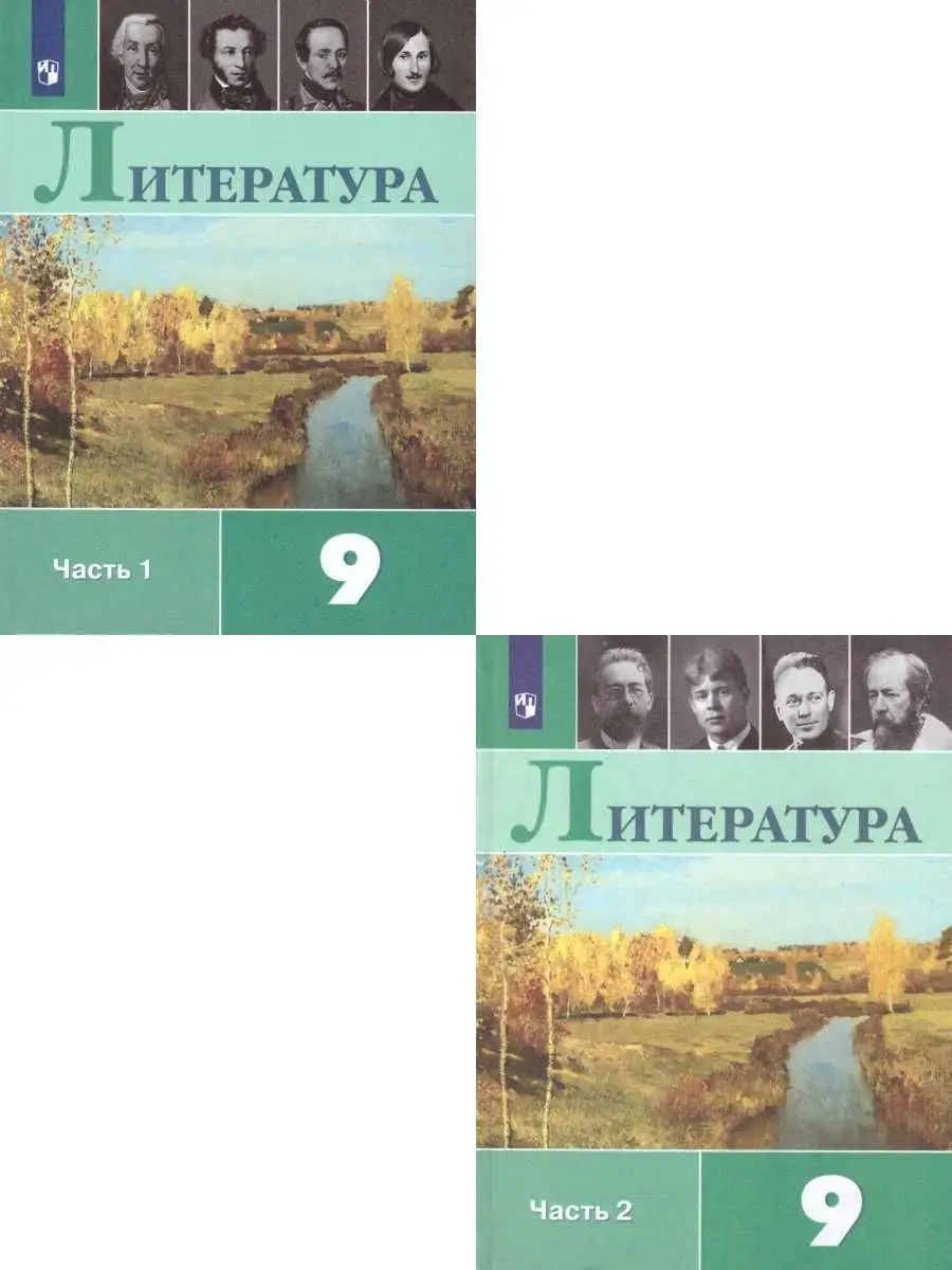 Литература 9 класс. Учебник. Комплект в 2-х частях. ФГОС Просвещение  27375044 купить за 2 240 ₽ в интернет-магазине Wildberries