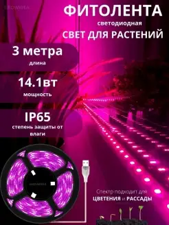 Фитолента для растений фитолампа для рассады RVolt 208365554 купить за 421 ₽ в интернет-магазине Wildberries