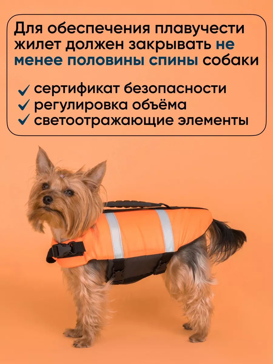 Gilet chien best sale supertrack 900