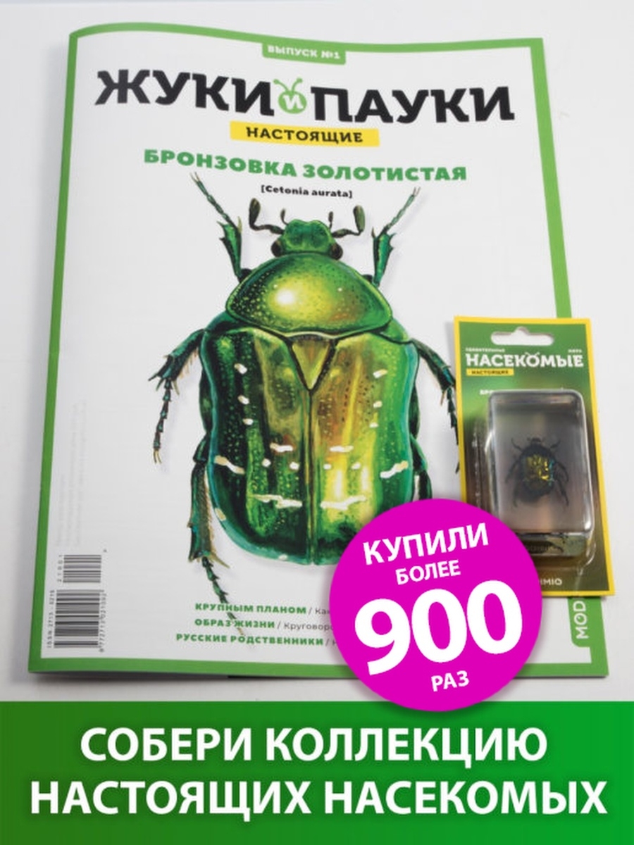 Выпуск №1: Жуки и пауки, Бронзовка золотистая MODIMIO 27443506 купить в  интернет-магазине Wildberries