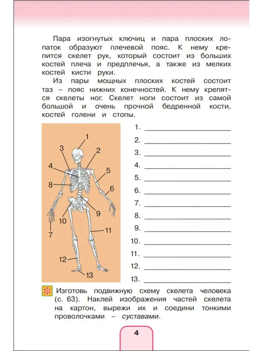 Окружающий мир. Рабочая тетрадь. 3 класс. Часть 2 Ассоциация 21 век  27445722 купить в интернет-магазине Wildberries