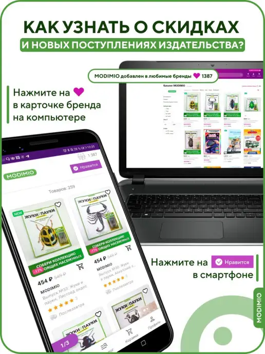 MODIMIO Журнал Жуки и пауки №2, Пёцилокорис широкий, 2 шт, фото 3