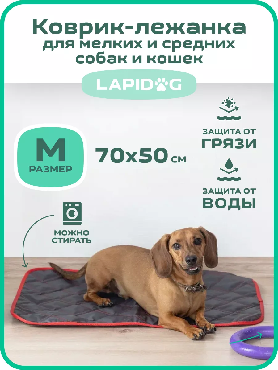 Коврик подстилка для собак 50х70см Lapidog 27495649 купить за 617 ₽ в  интернет-магазине Wildberries