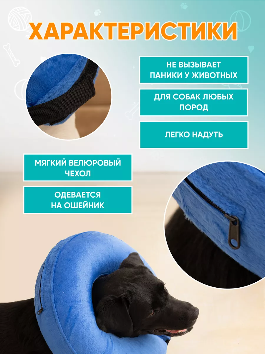 Воротник для кошек и собак медицинский Mr Dog 27551836 купить за 950 ₽ в  интернет-магазине Wildberries