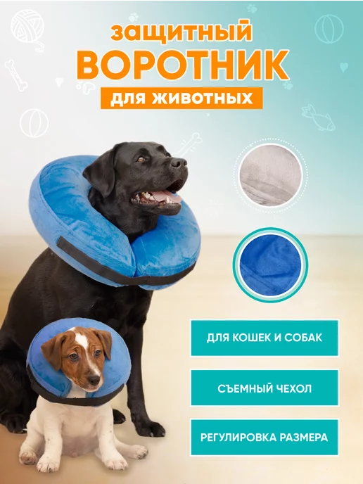 Mr Dog Воротник для кошек и собак медицинский