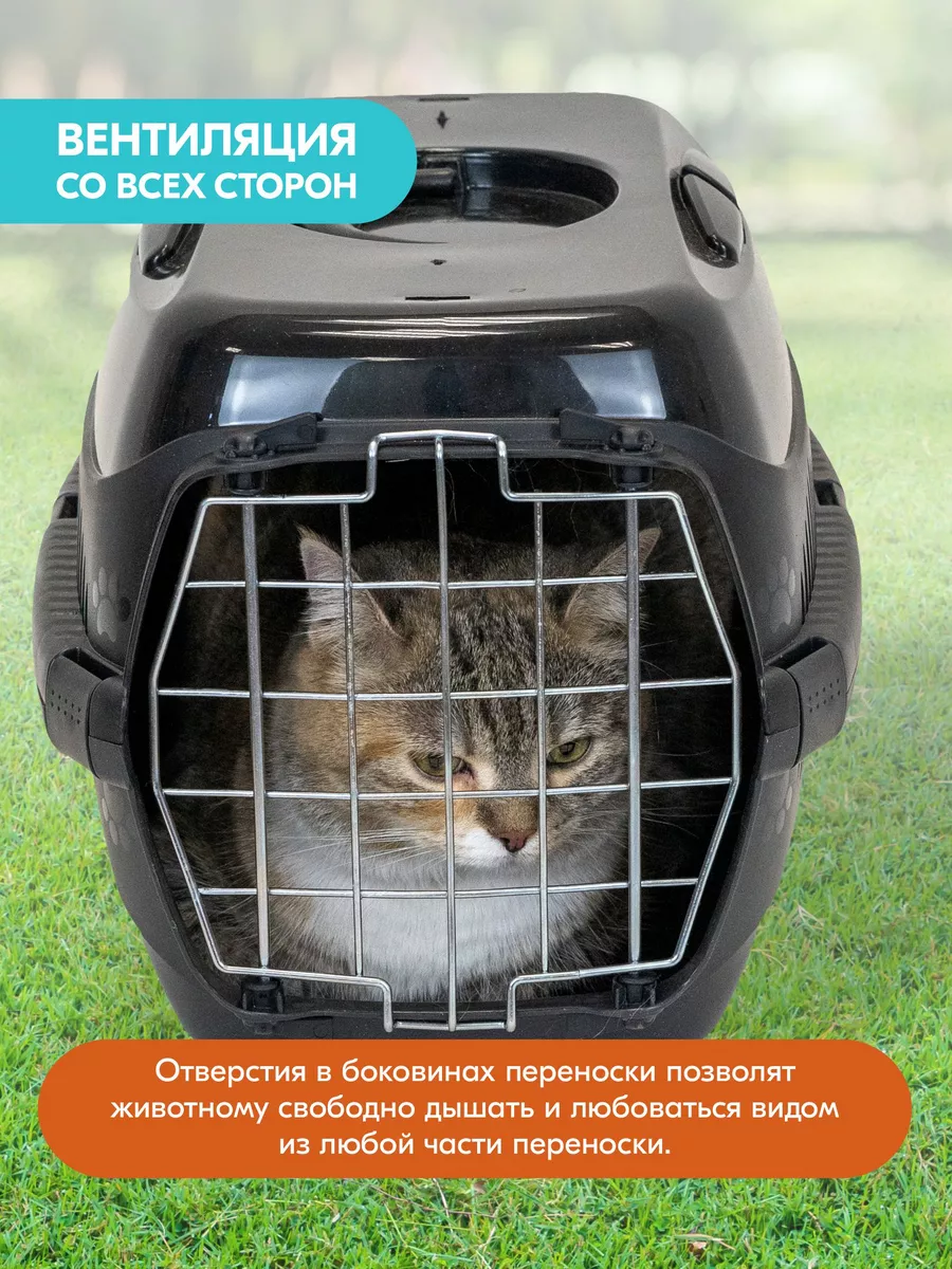 Пластиковая переноска для кошек, для животных (с мет.двер.) PetTails  27566030 купить за 1 145 ₽ в интернет-магазине Wildberries